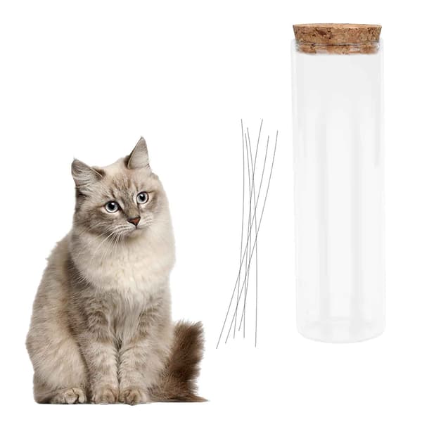 Kattviskburk Kattvisk Samlare Transparent Kattvisk V A1