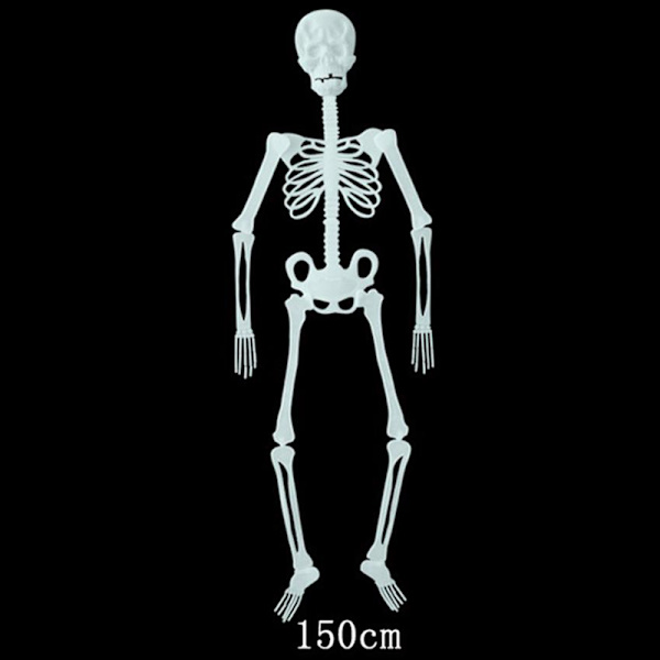 32/90/150cm Poseerattava ihmisluuranko Halloween-koristejuhlat 150cm