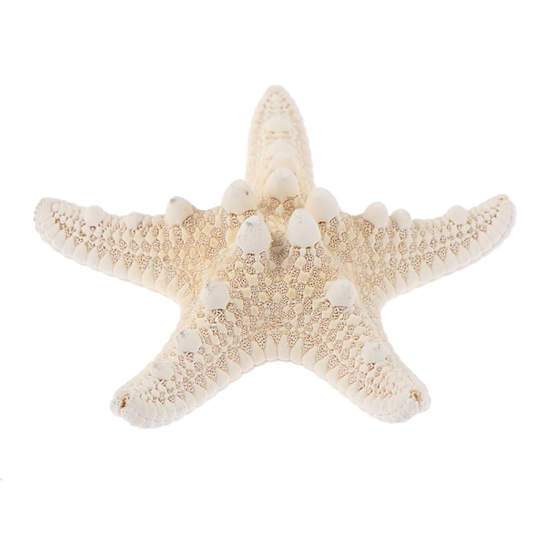 Starfish Crafts Decor Starfish DIY Shell Sea Fish Party Beige S