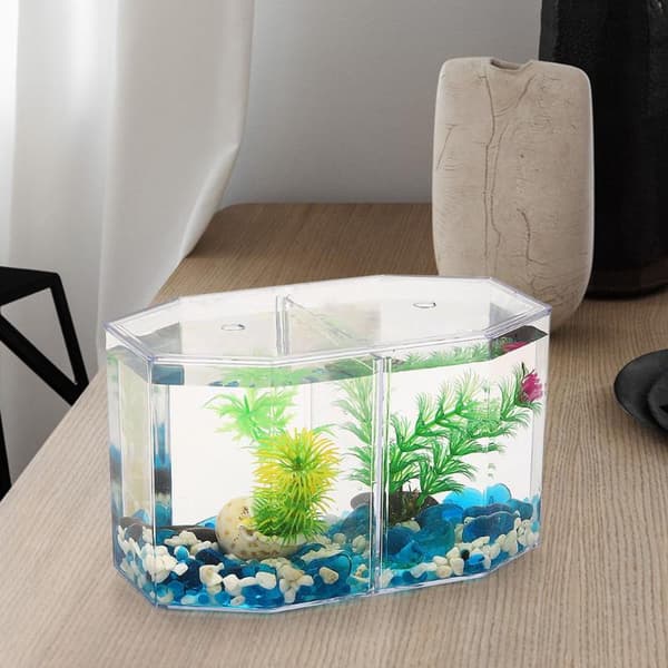 Dobbeltroms kampfiskboks Eco Rumble fiskeakvarium