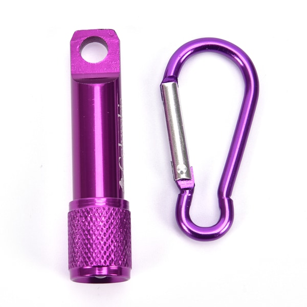 Mini Ficklampa Nyckelring LED Pocket Torch Light Ficklampa Blue