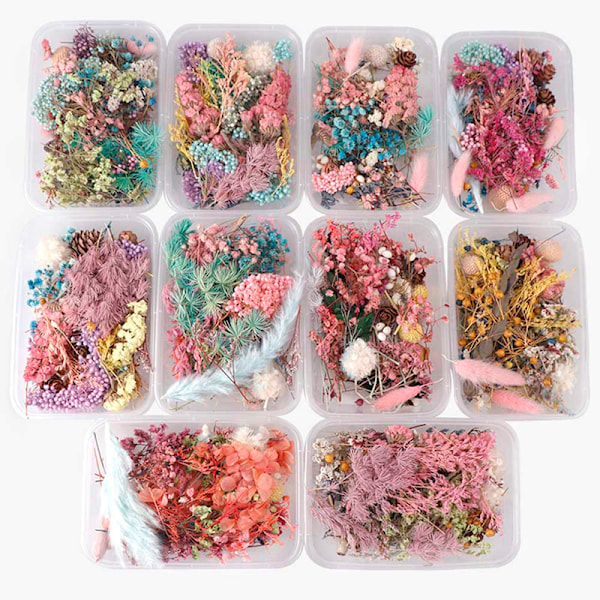 Tørkede blomster Naturlig floral kunst Håndverk Scrapbooking Harpiks Juvel