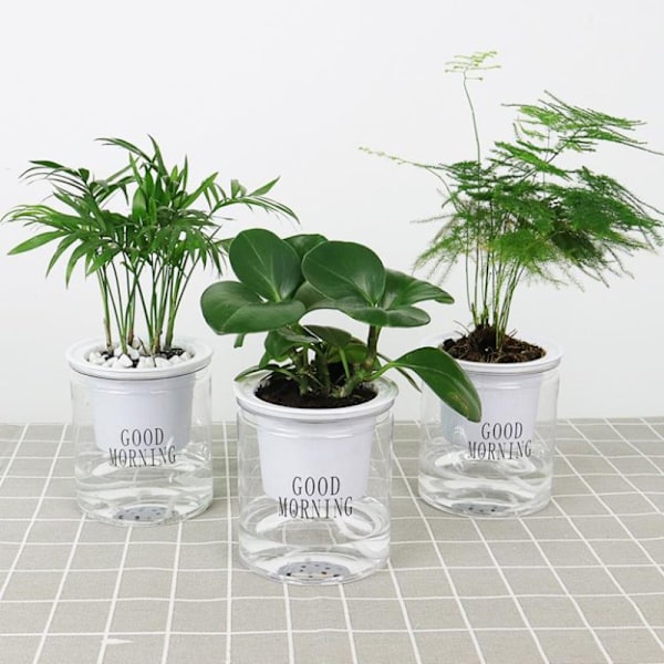Rund automatisk vannabsorberende selvvannende blomsterpotte Hydrop A