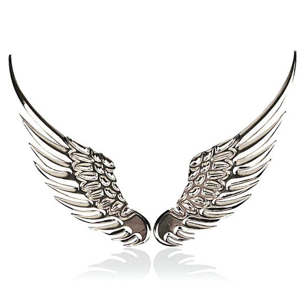 1 pari auton moottoripyörän koritarra 3D Eagle Angel Wings Silver