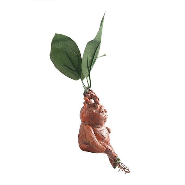 Mandrake Grass Resinipatsas Maisemaornamentti Taidehahmo 1pc