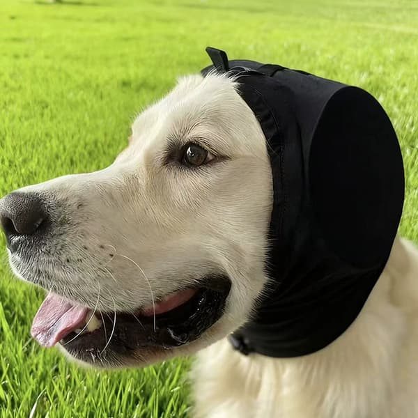 Støjreducerende beroligende høreværn til hunde, høreværn mod støj Black S