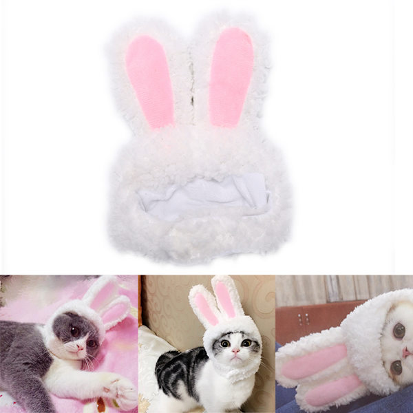 Katt kaninører lue kjæledyr katt cosplay kostymer for katt små hunder