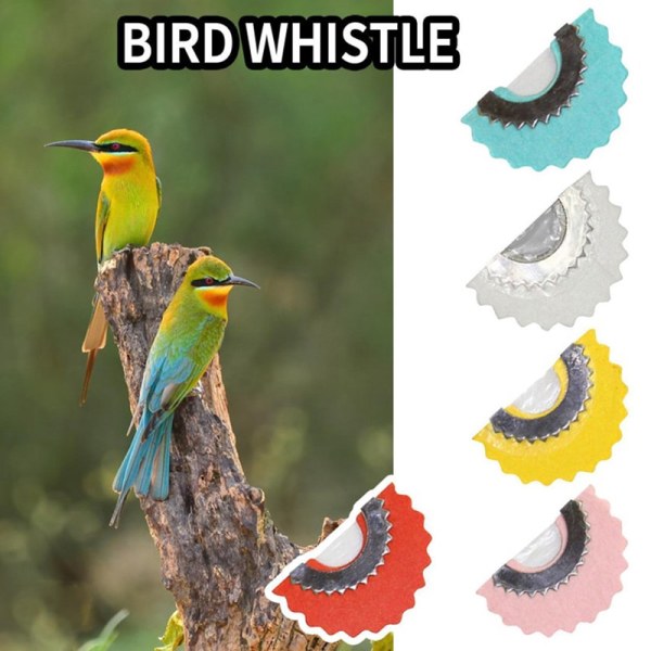 Lintupilli Piilota Magic Tweeting Noisemaker Lelutemppu Lintu Cal Blue