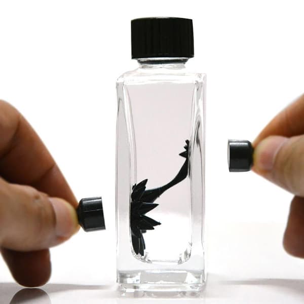 Ferrofluid magnetisk væske flytende displayflaske morsom vitenskap Round