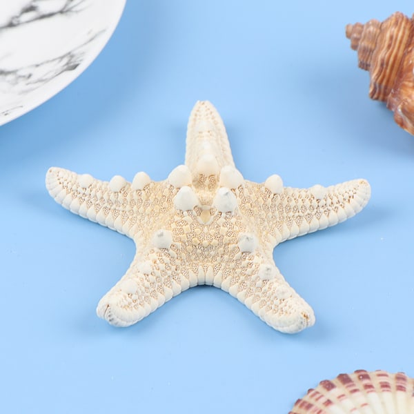 Stjernedyrhåndverk Dekor Stjernedyr DIY Skall Sjøfisk Fest Beige S