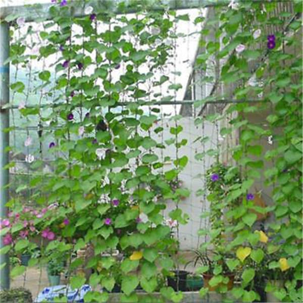1,8x1,8m Have Netting Support Climbing N