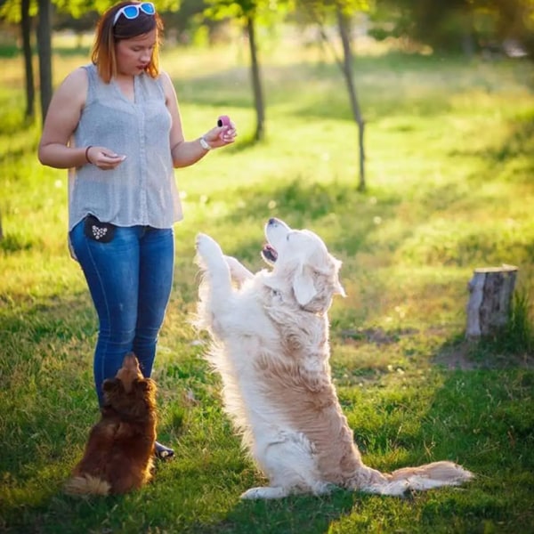 Hundetreningsklikkere Hundeklikker for trening av dårlig oppførsel Int A6