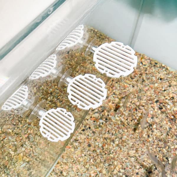 Bettafisk hvilebed giftfritt materiale sterke sugekopper F E