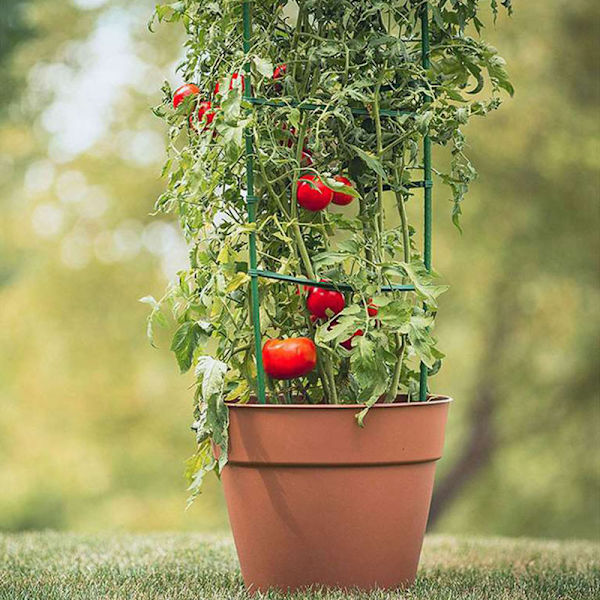 DIY Växtstöd Tomatstöd Plastbelagd Stål T 2 Layers