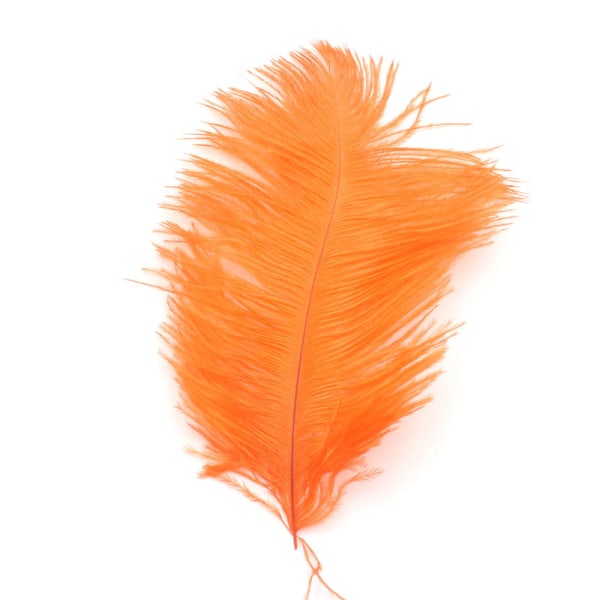 Nail Art Feather Display Stand Feather Decoration Colorful Phot Orange