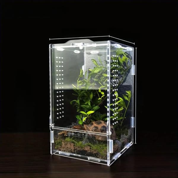 Akryl Jumping Spider Enclosure Escape Proof Buckle Lock Venti A1