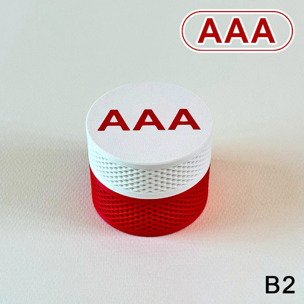 AAA/AA batteriförvaringslåda (batterier ingår ej) Batterikontainer B2