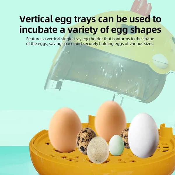 Automatisk Mini Egginkubator Klart Lokk Konstant Temperatur C
