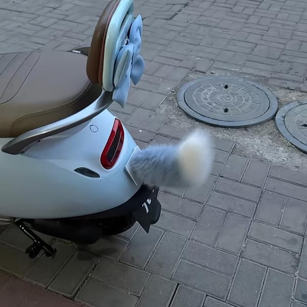 Fjärrkontroll Elbil Svans Elcykel Svans Viftande A2