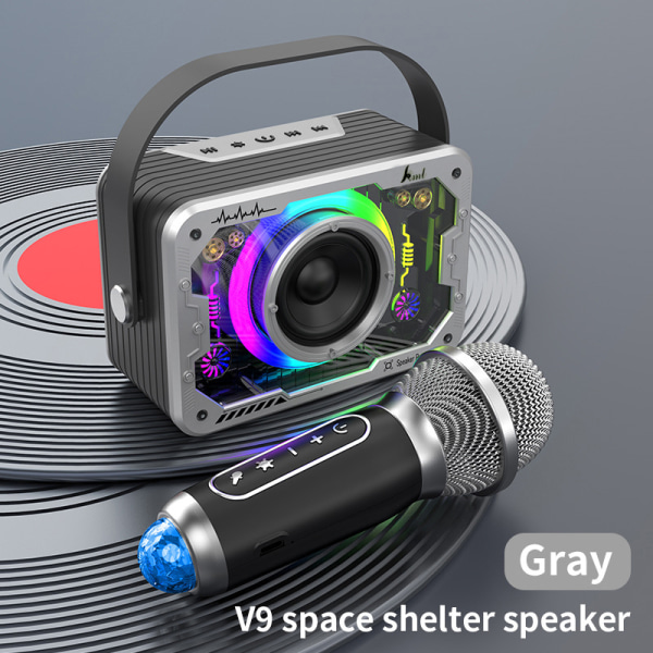 Bärbar Bluetooth högtalare Trådlös karaoke-högtalare för hemmet Outdoo Gray
