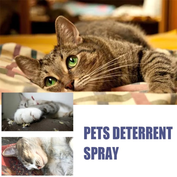 50 ml Pet Scratch Deterrent Spray Cat Anti Scratch Furniture Sof