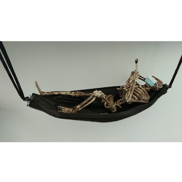 Luurankomallin tukkumyynti Learn Aid Anatomia taiteen luonnos Halloween