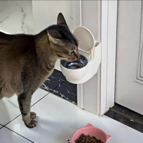 Kjæledyr vanndispenser Morsom simulering Closestool vanndispenser C