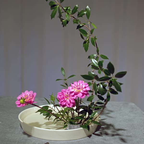 4 stk. blomsterfrøholder i rustfrit stål, 4 størrelser blomsterarrangement White