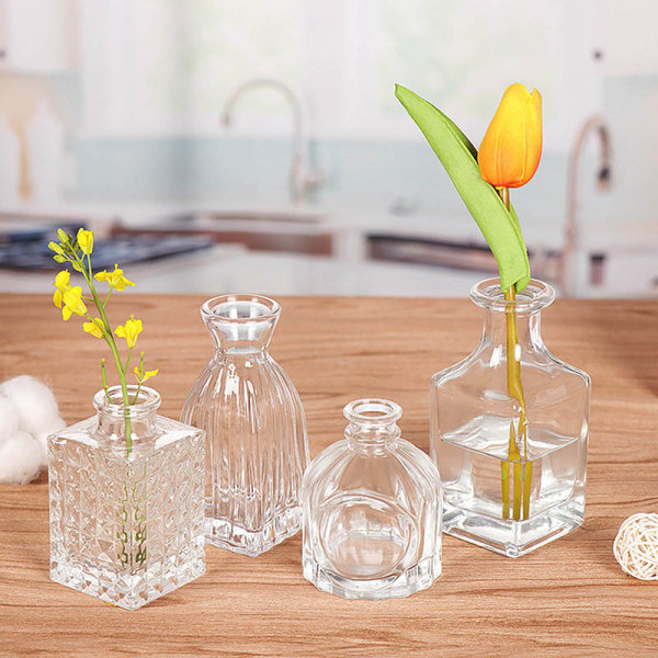 Mini Creative Desktop Enkel Vase Dekoration Grøn Dild Hydropo A