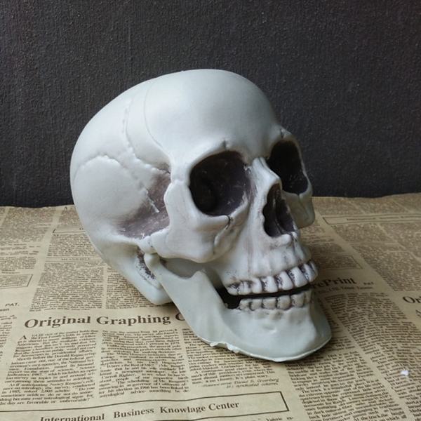 Halloween Kunstig Kranie Hoved Model Kranie Knogle Horror Skelet G 1.5*2*2.5cm