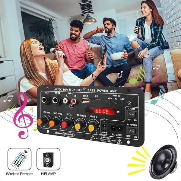 D30 D10 Förstärkare 12V24V Högeffektsförstärkare med Bluetooth Ca D30