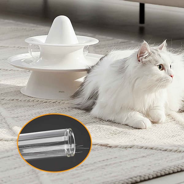 Kattviskburk Kattvisk Samlare Transparent Kattvisk V A1