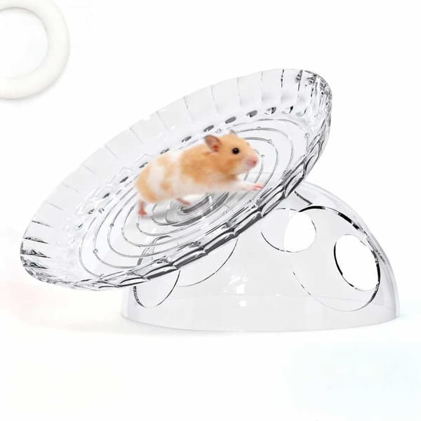 Hamster Flying Disc Løbehjul Rem Undgåelse Hus Hamster A1