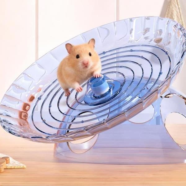 Hamster Flying Disc Løpehjul Stropp Unngåelse Hus Hamster A2