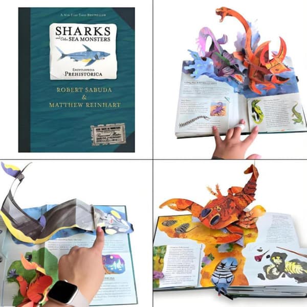 3D Encyclopedia Prehistorica s Marine Organism Folding Pop-Up B A3