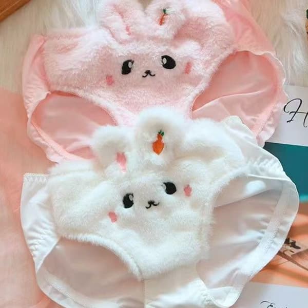 e Plysch Damunderkläder Set e Ingen stålring Push-up BH-set För PinkSet 38 85AB
