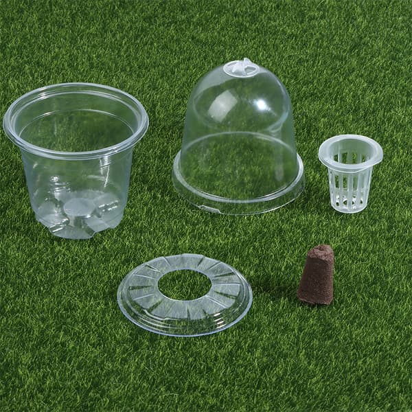 Synlig Klar s Groddkopp Transparent Plast Plantskola Gro 1pcs