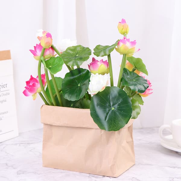 Lotus Simulation Teko Kukkakukka Vesililja Mikro Maisema H White