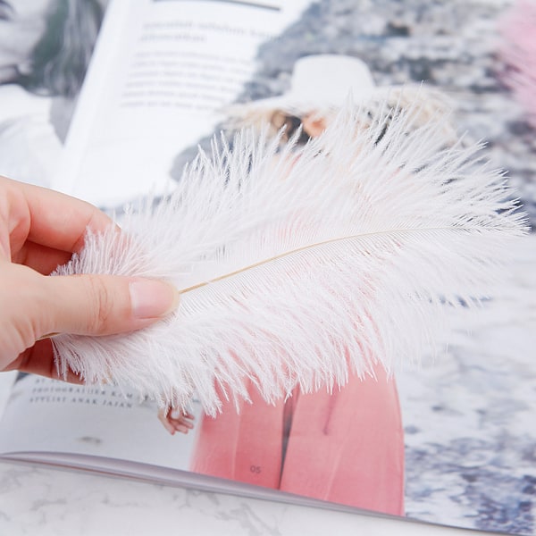 Nail Art Feather Display Stand Feather Decoration Colorful Phot Orange