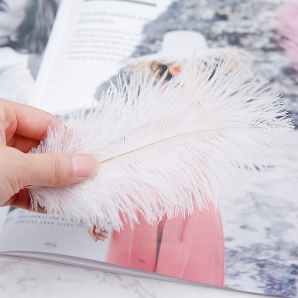 Nail Art Feather Display Stand Feather Decoration Colorful Phot Rose red