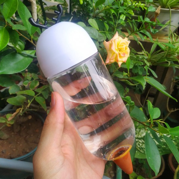 Waterer Self Watering Globes Self Watering Spikes Indoor & Ou B