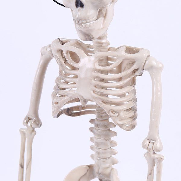 Poserbart skjelett Halloween-dekor  Man Bone Creepy Party Decorat