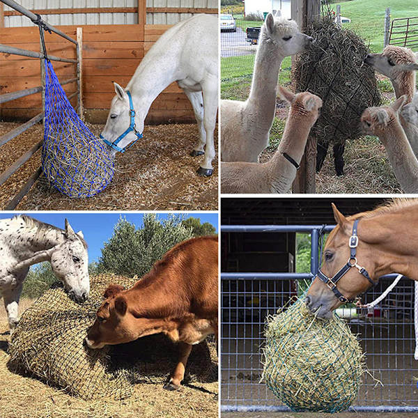 Haylage Net Slitstarka hästvårdsprodukter Små hålade Hö Net Hay Blue