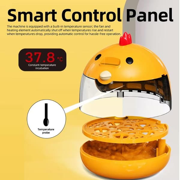 Automatisk Mini Egginkubator Klart Lokk Konstant Temperatur C