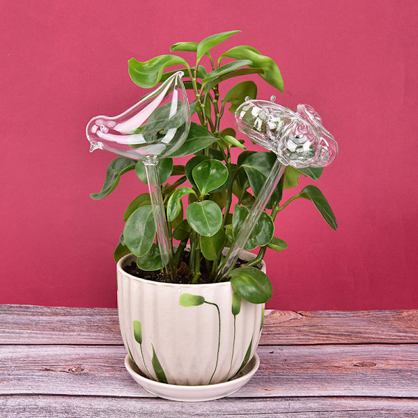 1 kpl Glass Flowers Water Feeder Self Watering Bird Design Wate Bird