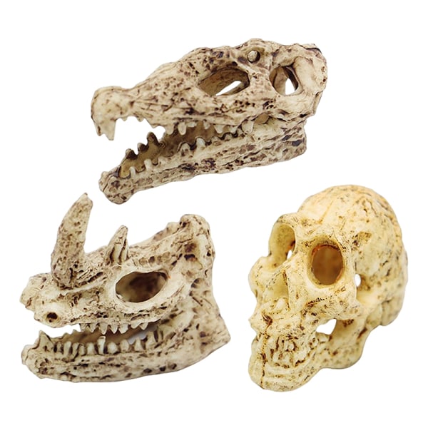 1:12 Dollhouse Animal Skull Malli Apes Rhinos Bone Terror Haloo Crocodiles