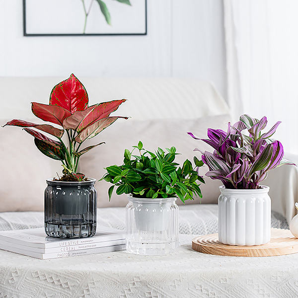 Runda självvattnande blomkrukor Hydroponics er självabsorberande W Gray