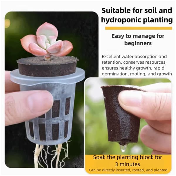 1/3 sett hydroponiske potter i plast, spirekurver, klar rotvisning 3Set