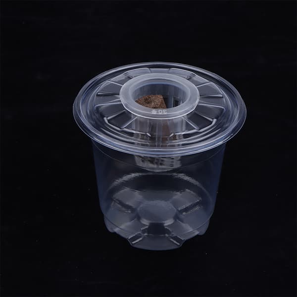 Synlig Klar s Groddkopp Transparent Plast Plantskola Gro 5pcs