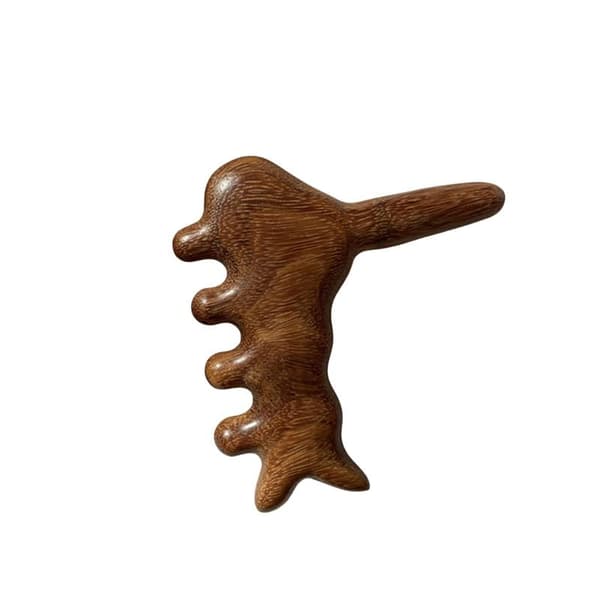 Puinen Gua Sha jalkahieroja